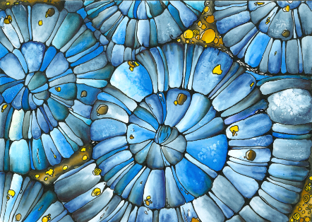 Catherine Durbec, illustratrice, se lance dans un projet de littérature de jeunesse, à l'encre et au rotring. Ici, le sol dallé d'un potager en forme de spirale.