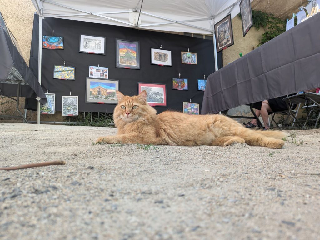 Exposition au vieux village. Côté artistes. Un chat peintre s'invite dans notre stand.