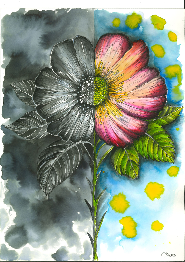 Personnage principal du roman contemporain de Catherine Durbec, "Le nénuphar". Églantine LEROY a ce côté ambivalent : elle est partagée entre les ombres du passé et les couleurs du présent. Fleur d'églantier et tige de rose...