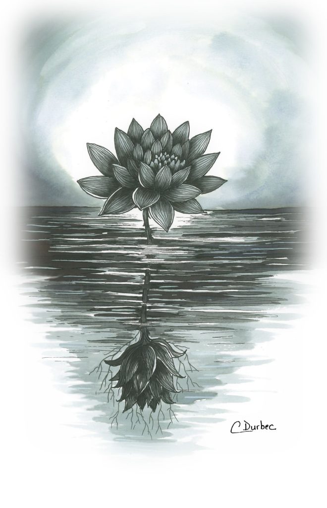 Illustration de la première page de couverture du roman choral contemporain "Le nénuphar" réalisée à l'encre et au rotring. un nénuphar s'élève au-dessus de l'étang. Sous l'eau, des racines qui tissent entre elles une rose.